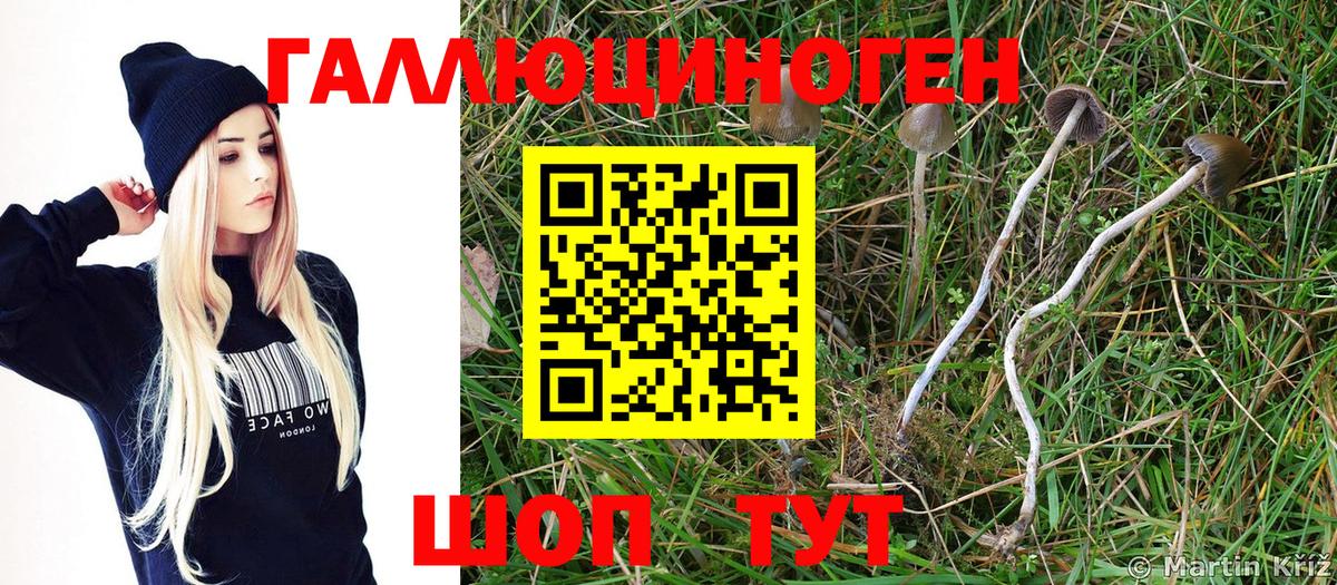 Псилоцибиновые грибы мухоморы  Вход с VPN  Галлюциногенные грибы Psilocybe  Псков 