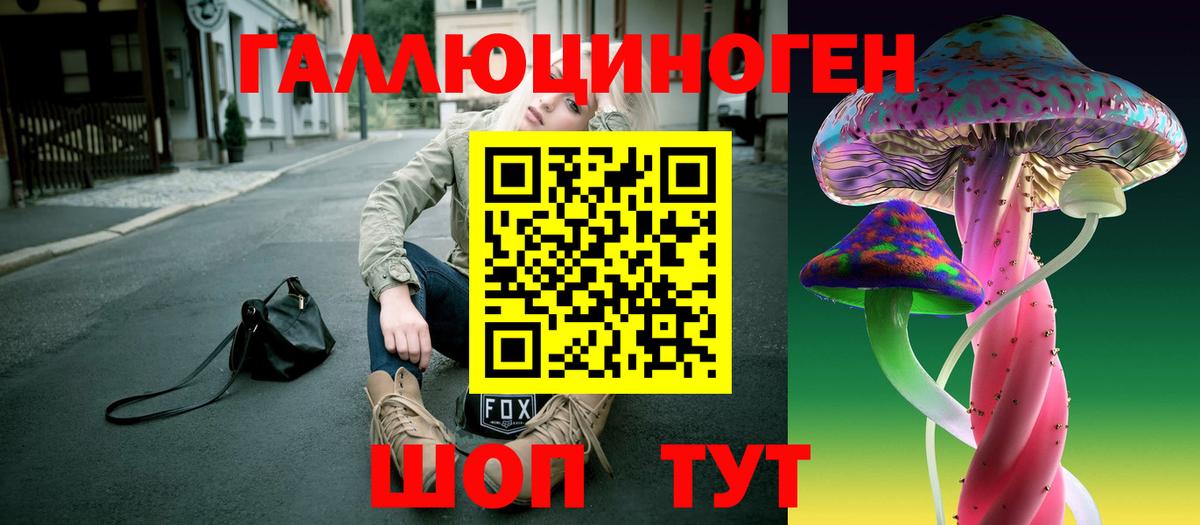 Галлюциногенные грибы Psilocybine cubensis Псков